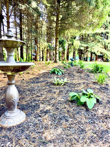 2 Bedroom, Game Room, Fall Bonfires