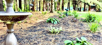 2 Bedroom, Game Room, Fall Bonfires