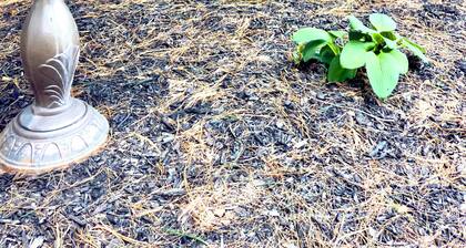 2 Bedroom, Game Room, Fall Bonfires