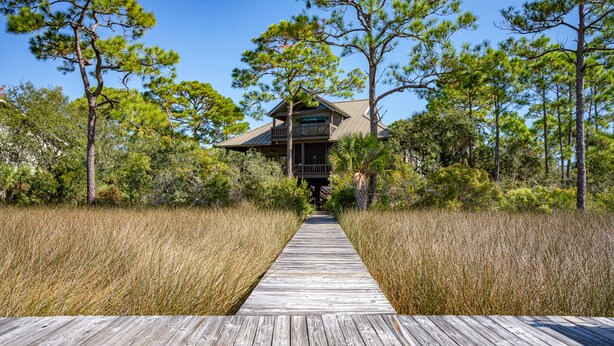 A wooden boardwalk leading to a house surrounded by tall pine trees and dense shrubbery. - Canal Front, small dog ok, dock, screened private pool! (St. George Island)