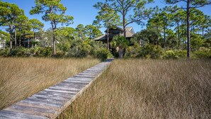 A wooden boardwalk leading to a house surrounded by pine trees and tall grasses. - Canal Front, small dog ok, dock, screened private pool! (St. George Island)