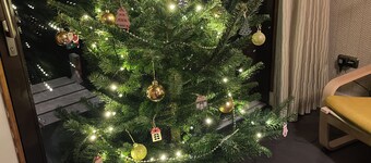 Central, cosy and modern appartment in Houseboat. Amsterdam Pur Sang.