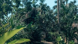 Exterior - La Colmena (Samaná)