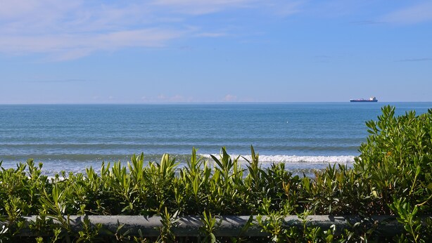 A coastal view with a ship in the distance, greenery in the foreground, and a clear sky. - An apartment nestled in the sun 110 meters from the sea (Scauri)