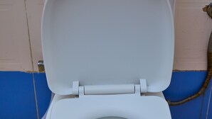 Un vàter blanc amb la tapa abaixada en un bany amb parets revestides de rajoles blaves i beix.