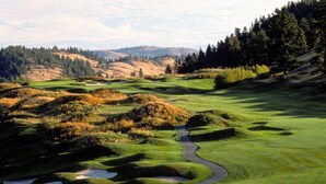 A golf course with a winding path, sand bunkers, and rolling hills. - Newly renovated with Lakeviews, big yard, minutes to Silver Star/Golf/Wineries. (Vernon)