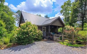 Exterior - Pet-friendly 2-bd cabin w/hot tub and fenced-in yard close to town (Mineral Bluff)