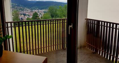 The DRYADES Mountain view