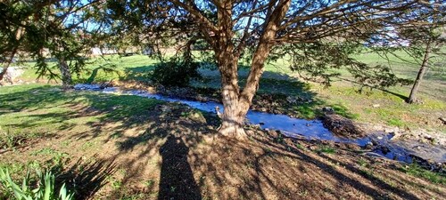 Family-Friendly Country Home near The Caverns