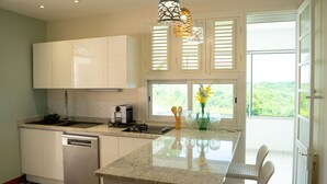 A modern kitchen with white cabinets, a built-in dishwasher, a granite countertop, and a large window with a view of greenery. - Domaine des tourterelles (Capesterre-de-Marie-Galante)
