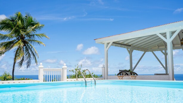 A clear blue pool with a palm tree and a covered seating area. - Domaine des tourterelles (Capesterre-de-Marie-Galante)