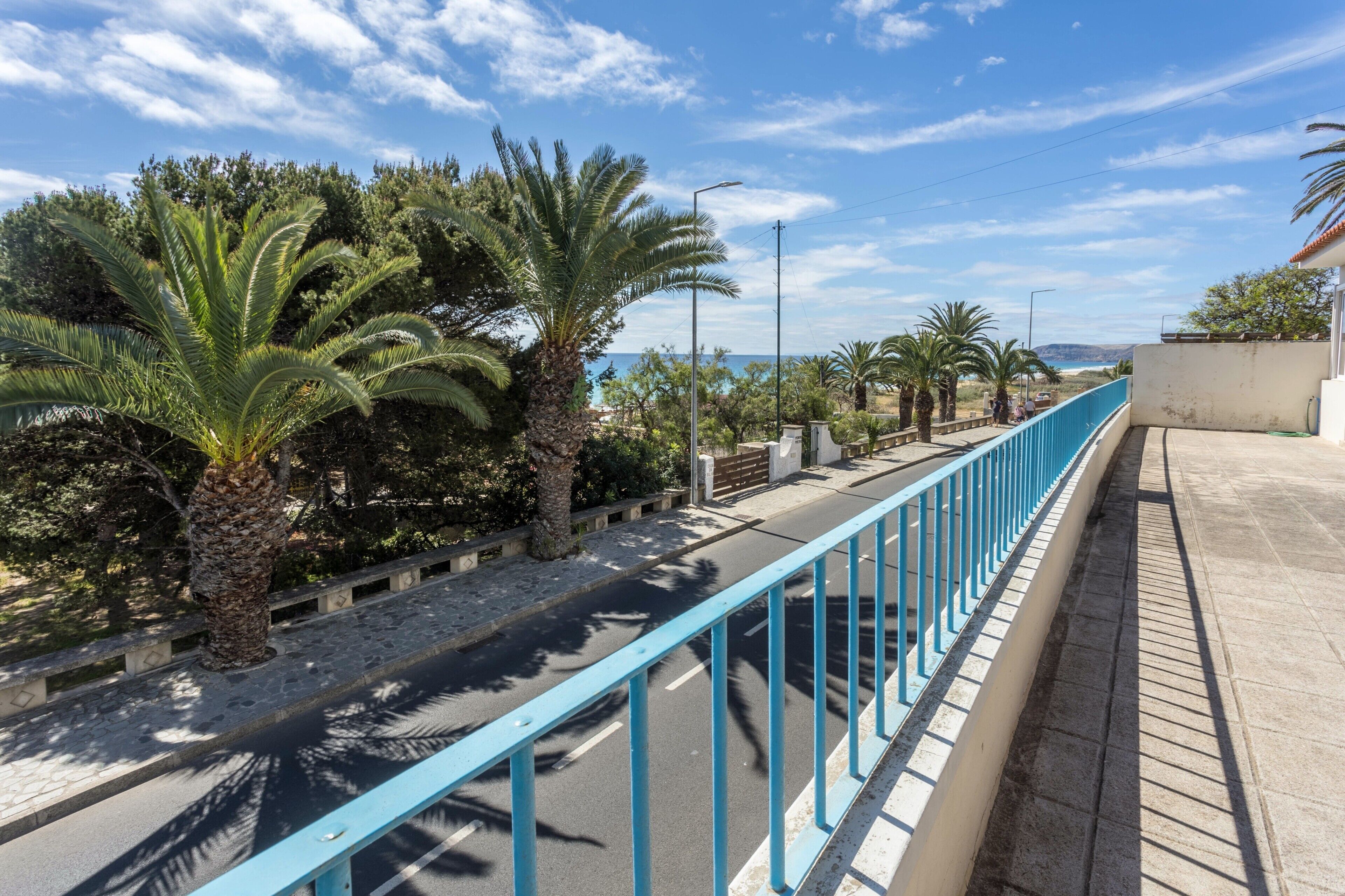 Una passeggiata lungomare con palme, una ringhiera blu e cielo sereno.