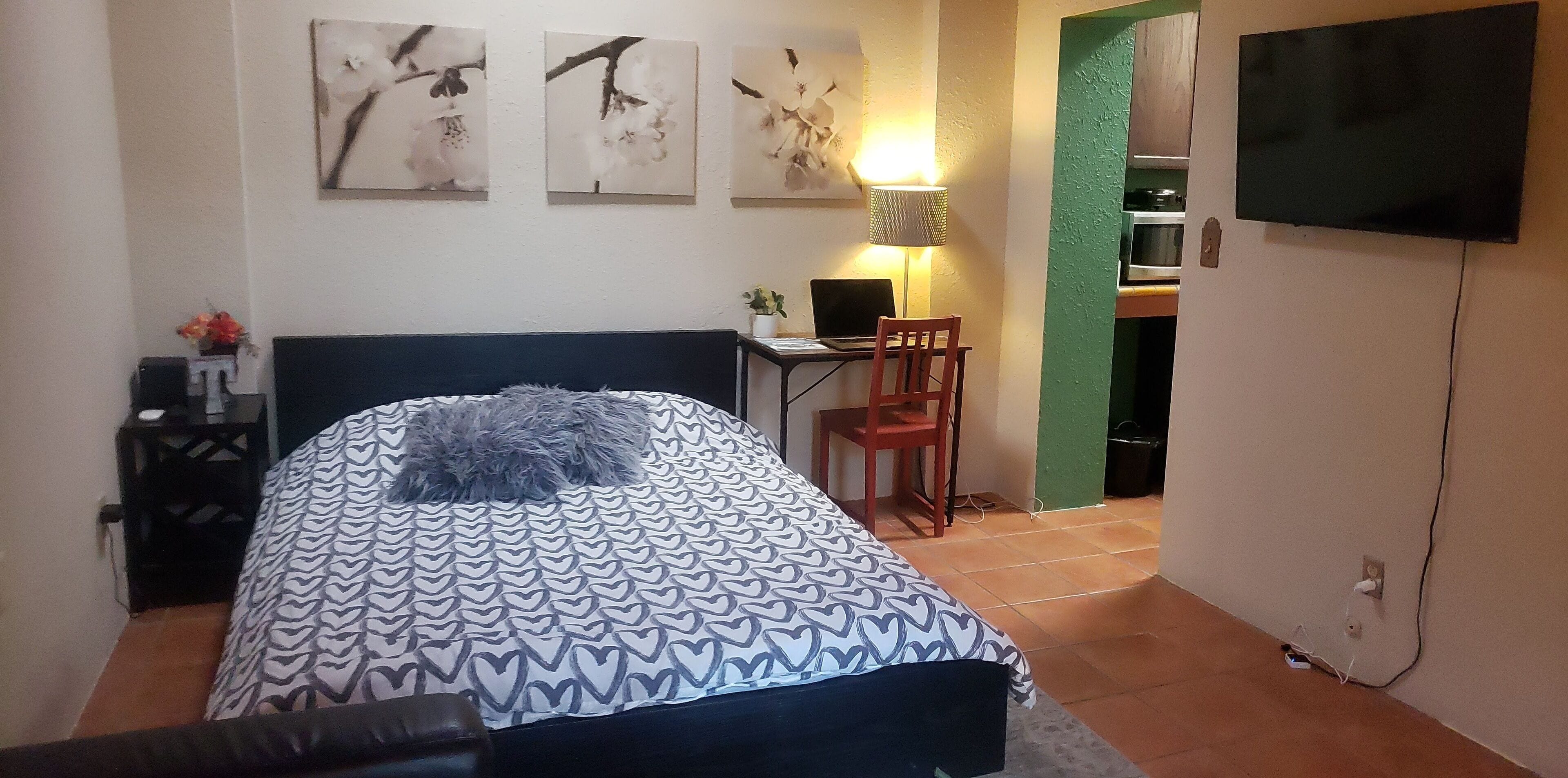 CASITA 1 BLOCK TO UOFA + MAIN GATE SHOPS & DINING. PRIVATE PATIO, BBQ, LAUNDRY