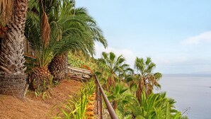 Eine Küstenlandschaft mit Palmen, einem Holzzaun und freiem Blick auf das Meer.