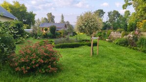 Ein Garten mit einem Haus, einem Metalldach und verschiedenen Pflanzen und Blumen.