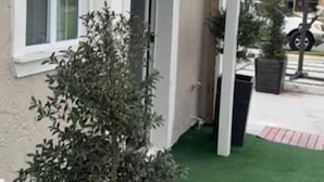 A covered outdoor area with a potted plant, a window, and a street view. - Kissimmee Studio 16 min from Disney World (Kissimmee)