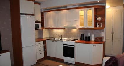 Cozy apartment in the city center close to nature and main attractions