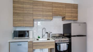 Fridge, microwave, oven, coffee/tea maker