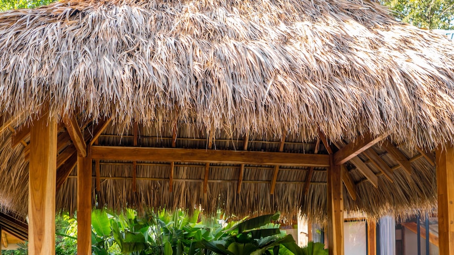 Blue Mist Hotel & Beach Club