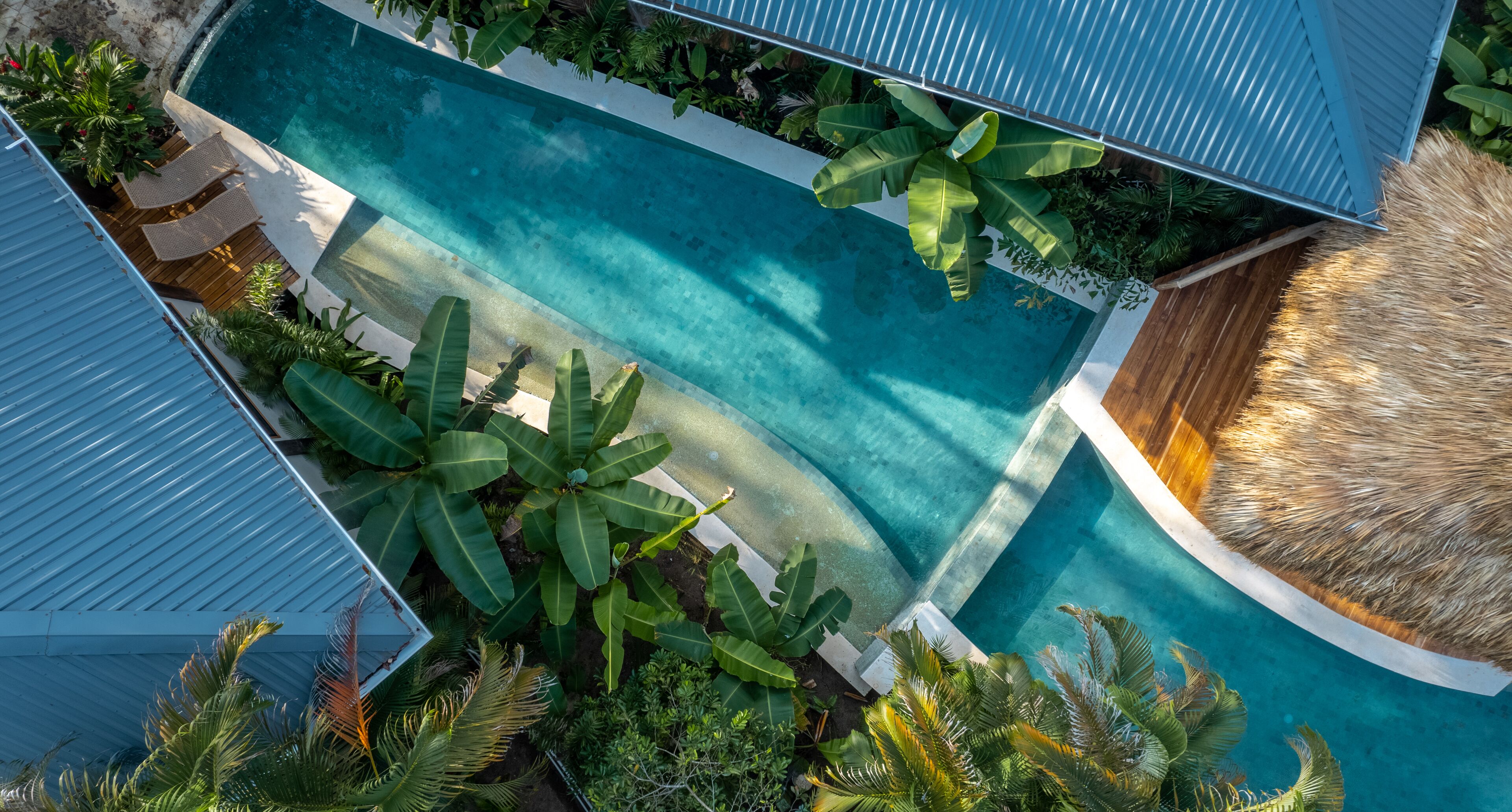 Una piscina en la azotea rodeada de exuberante vegetación y una estructura con techo de paja.
