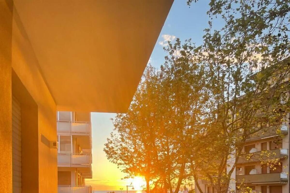 A balcony with a view of the sunset, a tree, and a street with cars and buildings.