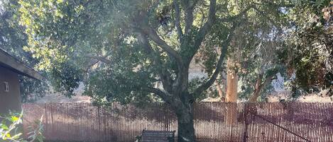 Àrea exterior de l'allotjament