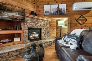 Smart TV, chimenea y reproductor de DVD