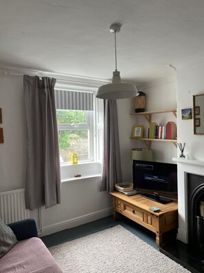 Een smart-tv, een open haard, een dvd-speler en boeken