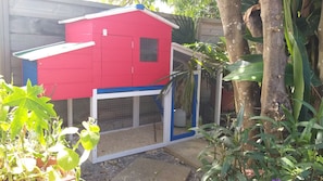 A red and blue chicken coop with a wire mesh door, surrounded by greenery.