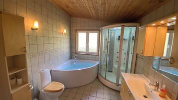 Bathtub, hair dryer, toilet paper