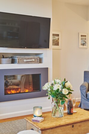 Smart TV, chimenea y reproductor de DVD 
