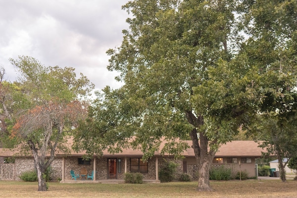 Spacious house with a large yard with lillies, pecan trees and a pear tree