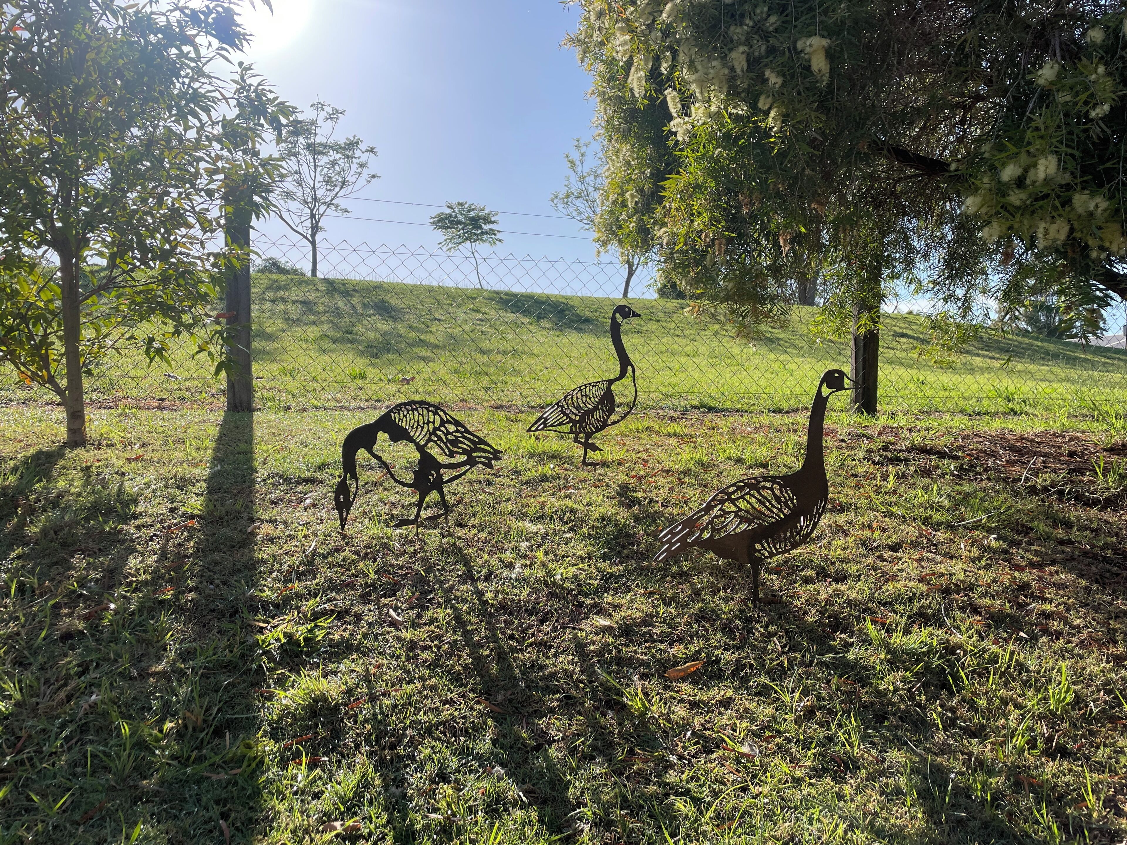 A fenced outdoor area with trees and grass.