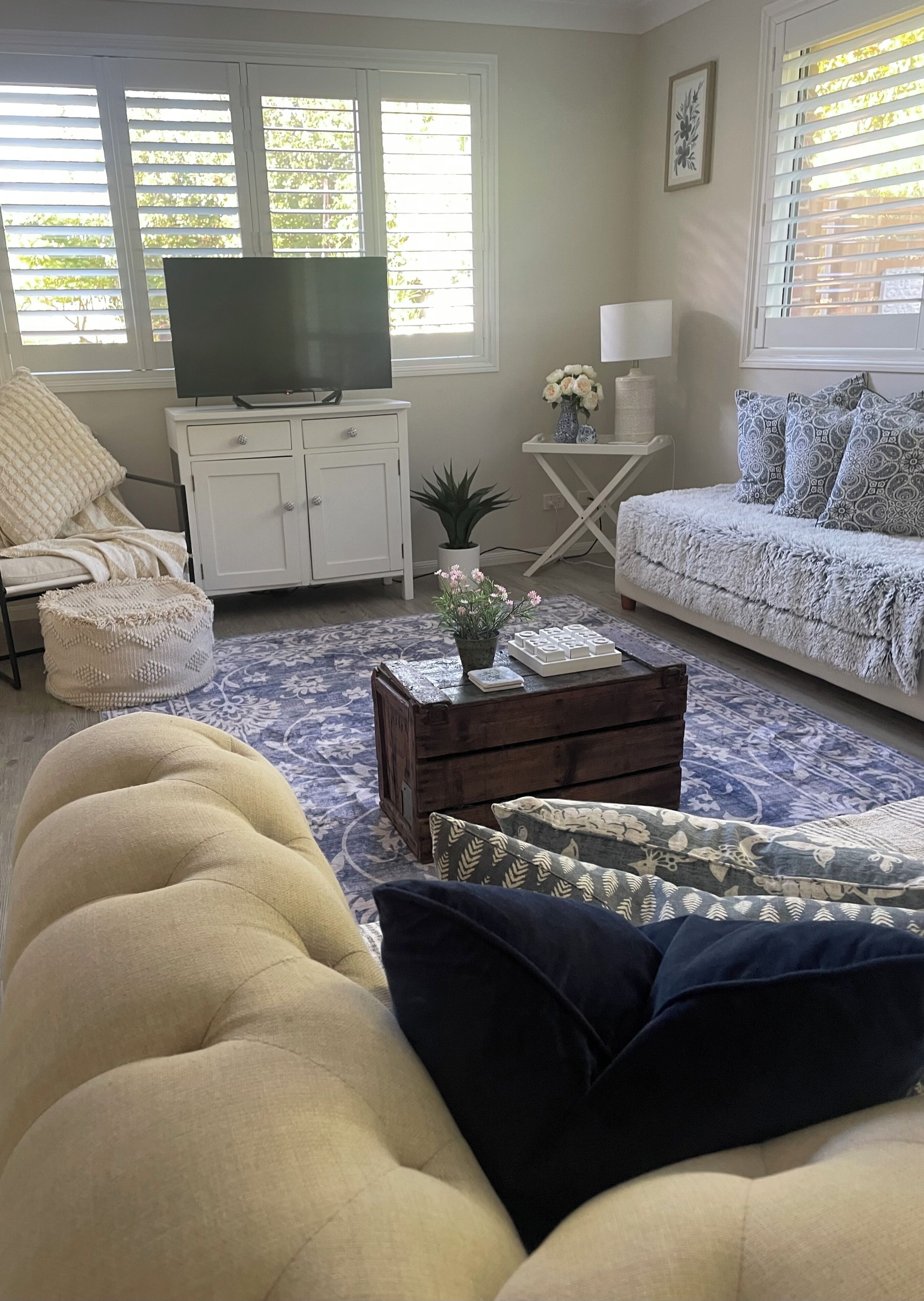 A living room with a sofa, a television on a cabinet, a coffee table with a plant, and a patterned rug.
