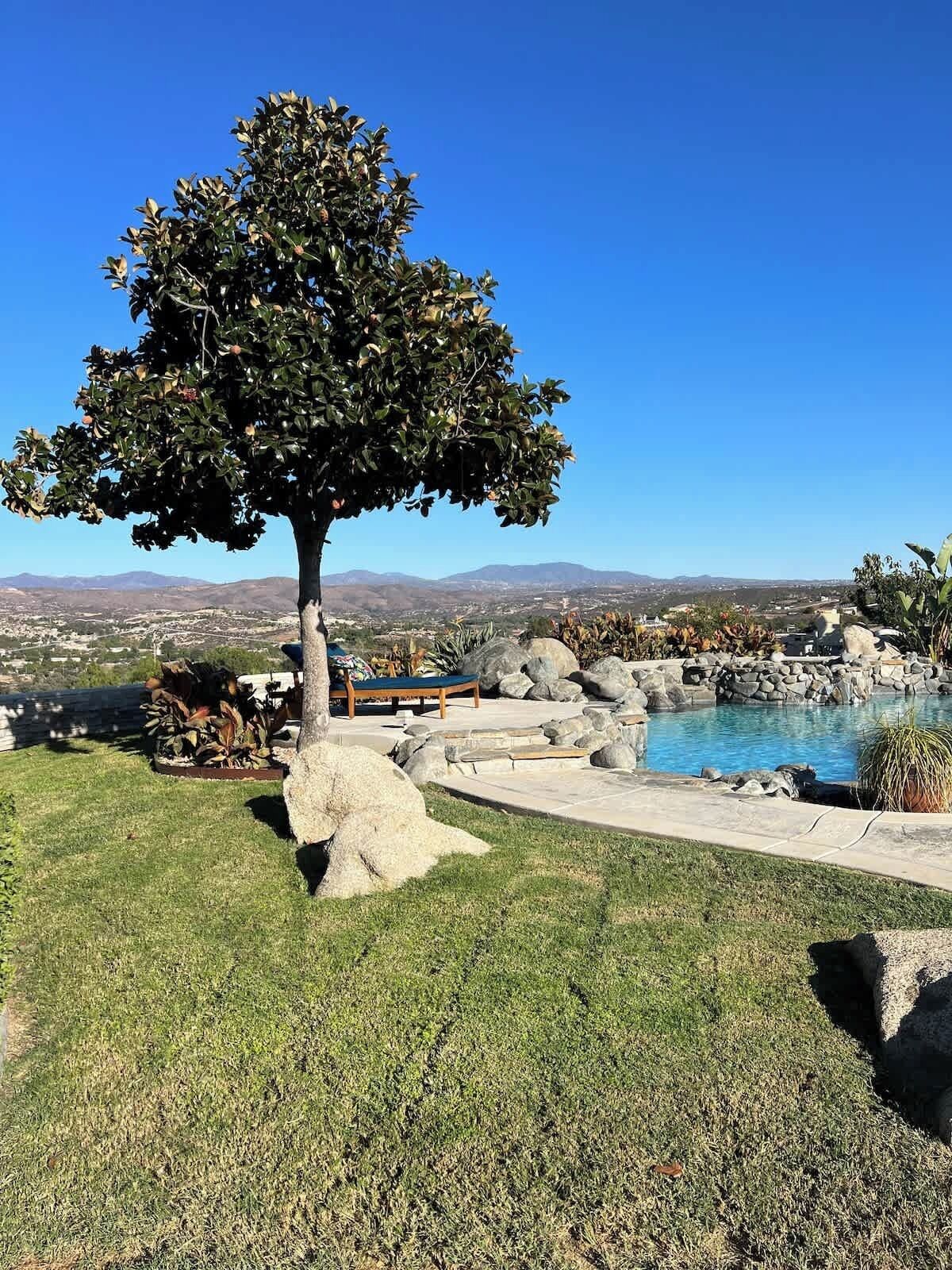 A tree-lined outdoor area with a pool, a lounge chair, and a view of distant mountains.