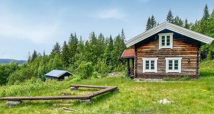 2 bedroom gorgeous home in Eggedal