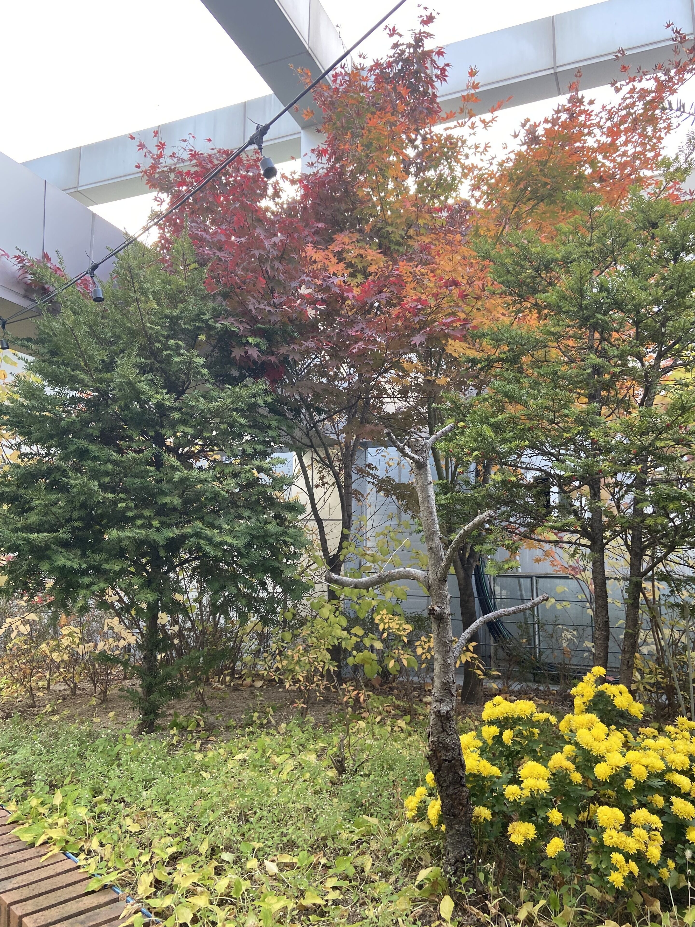 이코노미 트윈룸 | 테라스/파티오