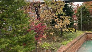 Terraza en la azotea