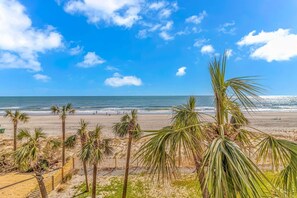 A beach with palm trees, a clear sky, and the ocean.