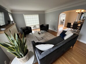 Smart TV, chimenea y libros 