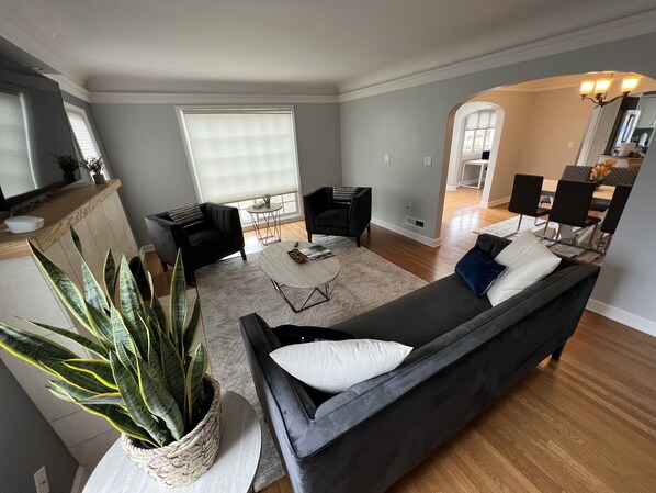 Smart TV, fireplace, books