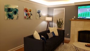 Smart TV, fireplace, books