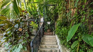 A staircase surrounded by lush greenery, leading to a higher level.