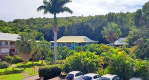 Property grounds - Oasis Verde - Studio (Sainte-Anne)