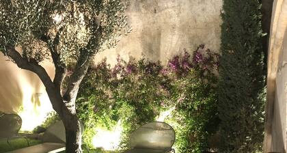 Luxurious Bastide in the center of St Remy, quiet location, heated swimming pool