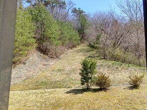 Un paesaggio naturale con un pendio erboso, alberi e un piccolo arbusto.