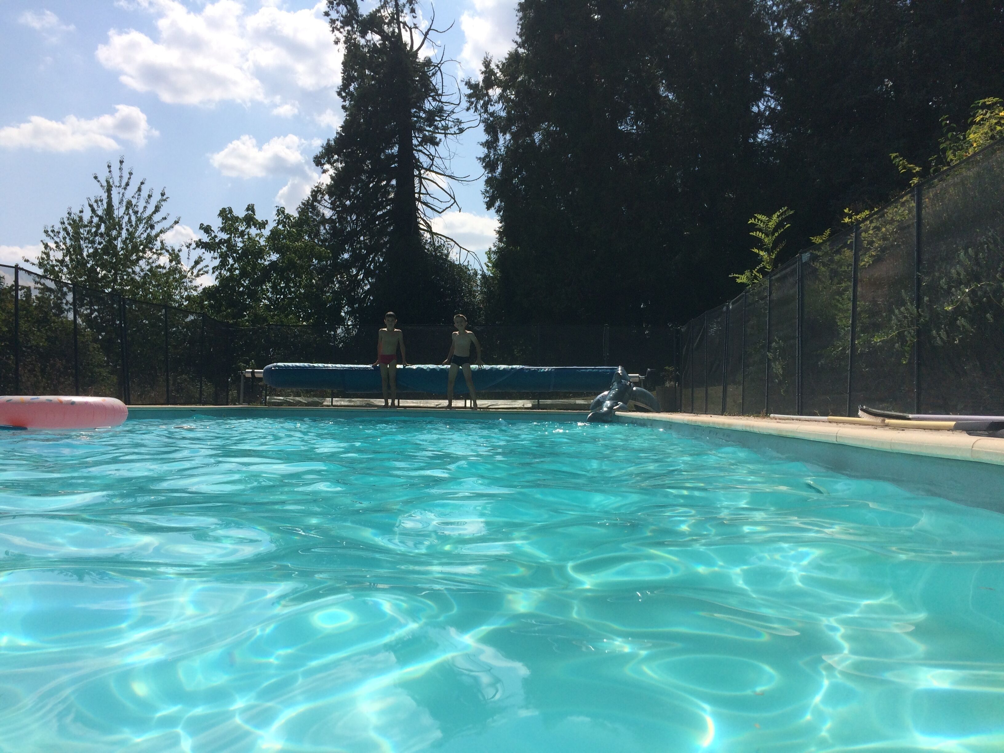 Une piscine aux eaux cristallines, dotée d’un plongeoir, entourée d’arbres et d’une clôture.