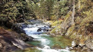 A river flowing through a forested area with rocks and trees. - Renovated central studio, 50 m from cable car, 2-4 pers (Cauterets)