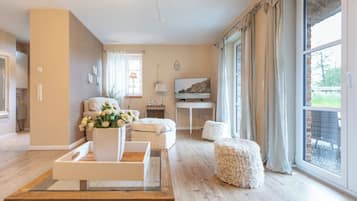 TV, fireplace, books