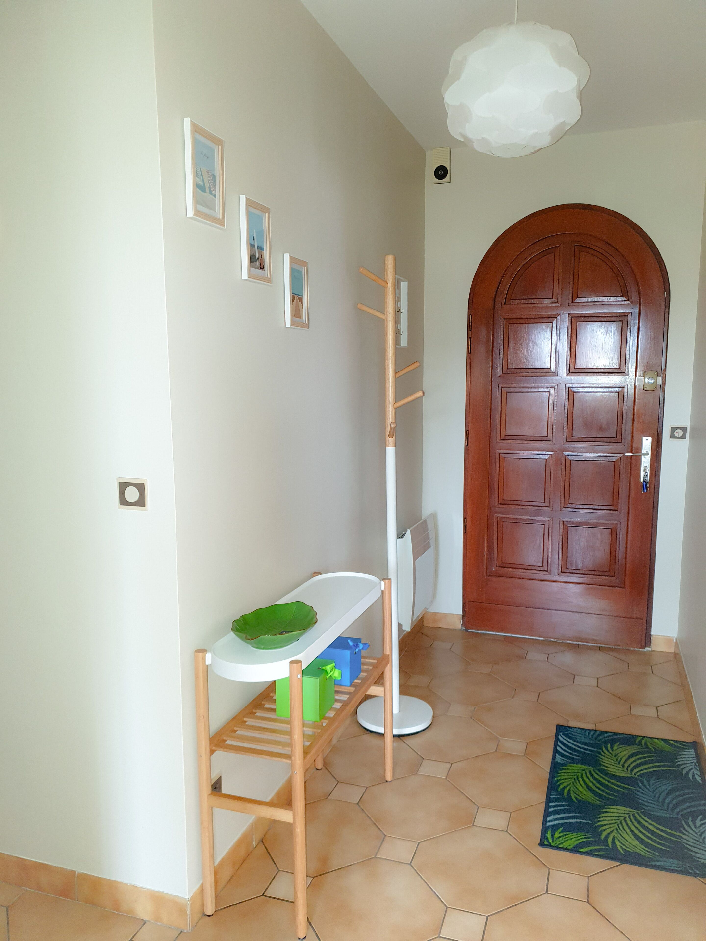 A hallway with a wooden door, a coat rack, a small table with a green bowl, and a patterned rug.